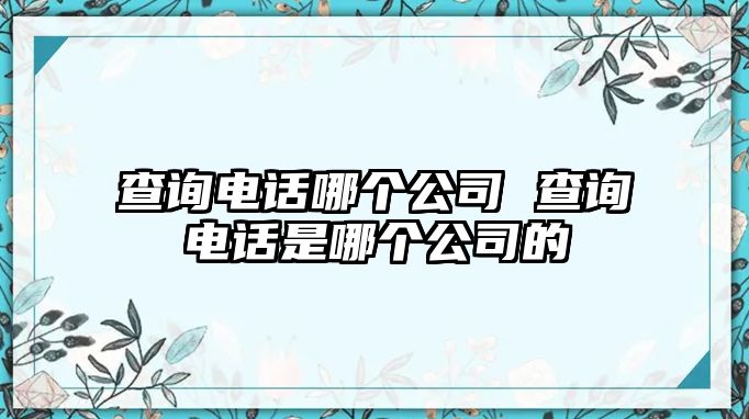 查詢電話哪個(gè)公司 查詢電話是哪個(gè)公司的