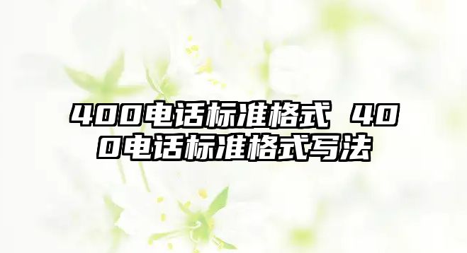 400電話標(biāo)準(zhǔn)格式 400電話標(biāo)準(zhǔn)格式寫法