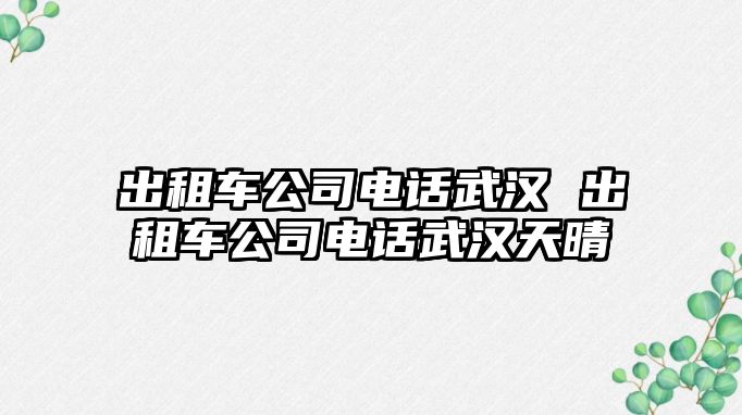 出租車公司電話武漢 出租車公司電話武漢天晴