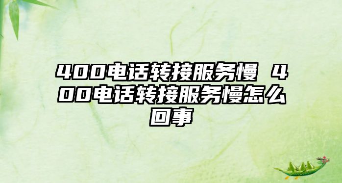 400電話轉(zhuǎn)接服務(wù)慢 400電話轉(zhuǎn)接服務(wù)慢怎么回事