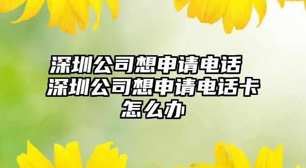 深圳公司想申請(qǐng)電話 深圳公司想申請(qǐng)電話卡怎么辦