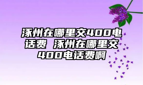 涿州在哪里交400電話費(fèi) 涿州在哪里交400電話費(fèi)啊