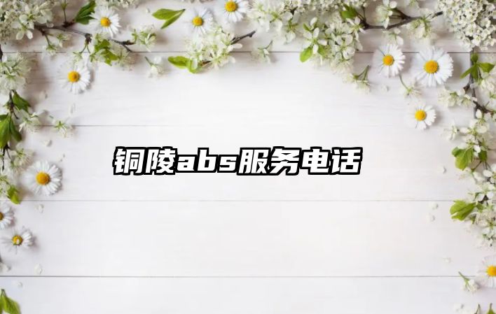 銅陵abs服務(wù)電話 