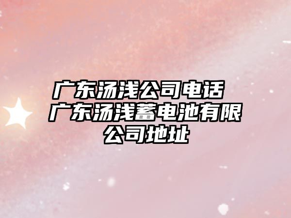 廣東湯淺公司電話 廣東湯淺蓄電池有限公司地址