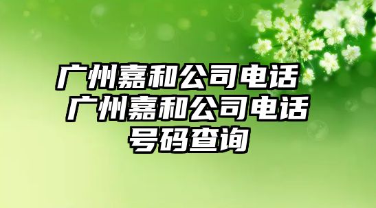 廣州嘉和公司電話 廣州嘉和公司電話號碼查詢