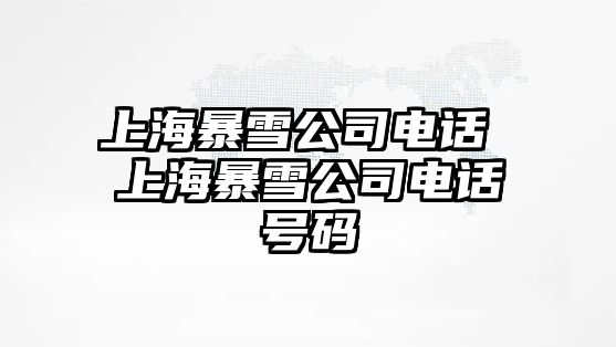 上海暴雪公司電話 上海暴雪公司電話號碼