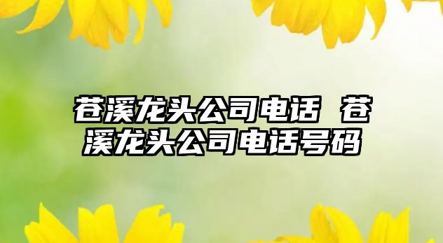 蒼溪龍頭公司電話 蒼溪龍頭公司電話號碼